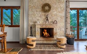 The Mountain House In Parnassus